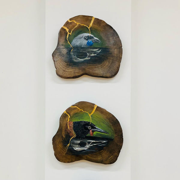 NZ bird artist