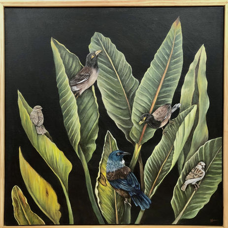 New Zealand birds painting