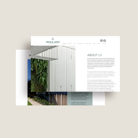 consultant website designer