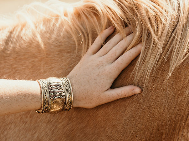 hand petting horse