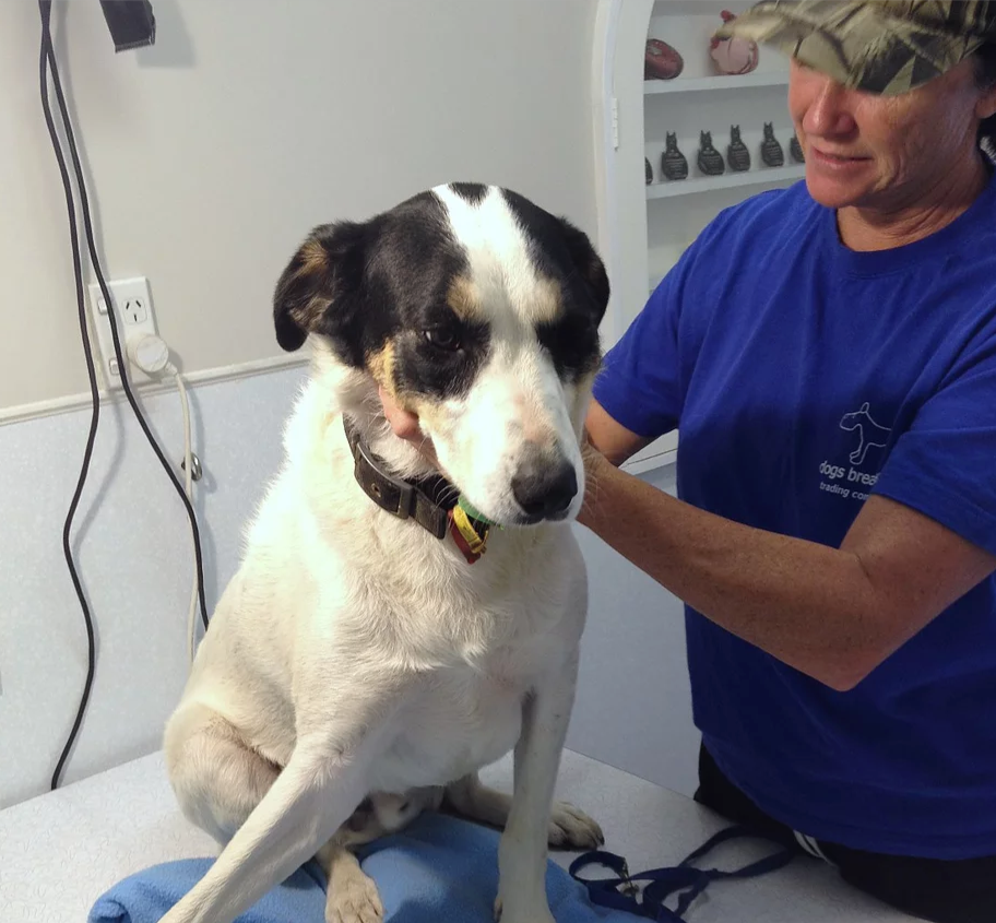 Joey S Dislocated Elbow