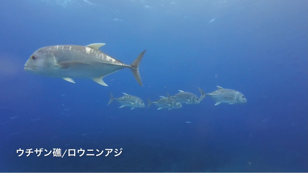 GWですね。