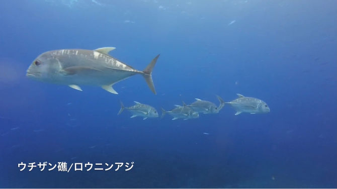 GWですね。