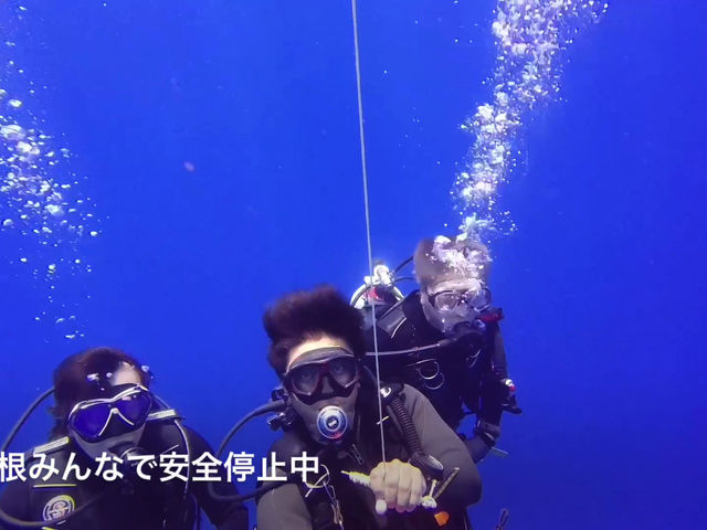 今日の海は湖です