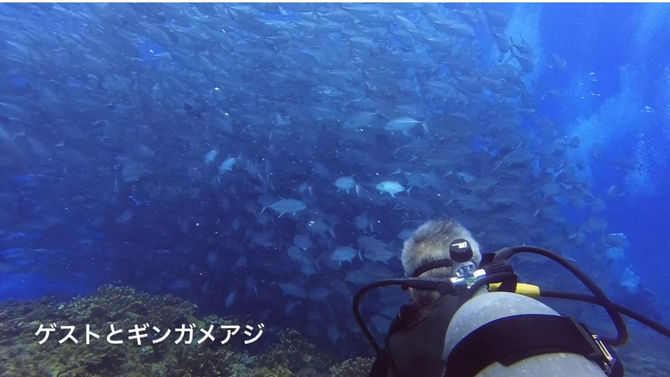 6月28日 粟国島遠征