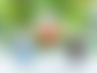 銀座店夏ドリンクご紹介