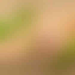 アインソフクッキー缶