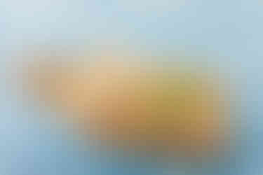 アインソフ通販限定 ホールチーズケーキ