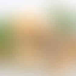 マサラチャイクリームサンド アインソフ