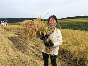 〜AIN SOPH.玄米の美味しい秘密〜「なるほど舎」代表、須田さんインタビュー