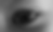 1000053058_edited.png