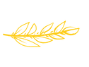 Blatt-web-klein.png