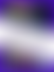 Reestructura Financiera - Portafolio de Negocios