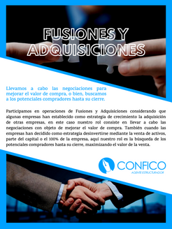 Fusiones y Adquisiciones - Portafolio de Negocios