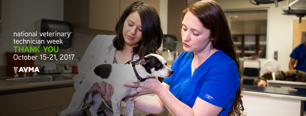 veterinary technician