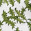 Thumbnail: Eryngium green: 50 x 50 cm handprinted oatmeal linen cushion