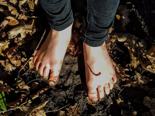 img_barefoot-safari.jpeg