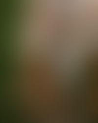 From Cowtown to the Boardroom: How Rural Roots Shaped My Approach to Modern Etiquette