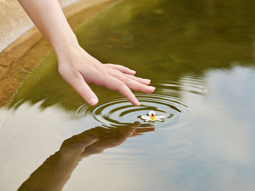 The Unexpected Legacy of Leadership: When Impact Circles Back