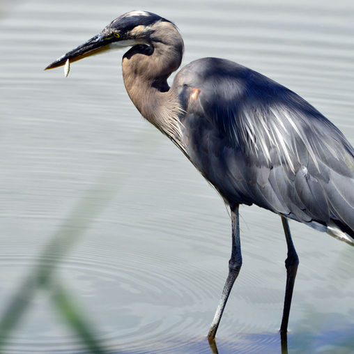 The Gift of a Beautiful State