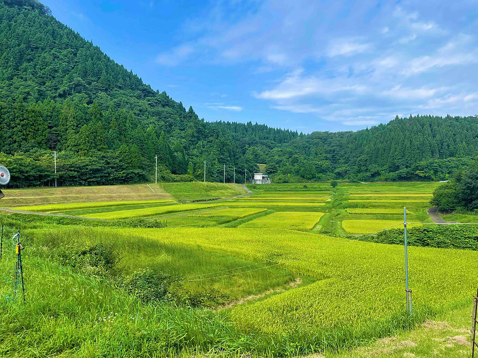 山.jpg