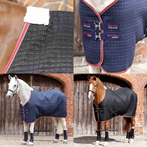 Personalised Premier equine DryTech Horse Cooler Rug