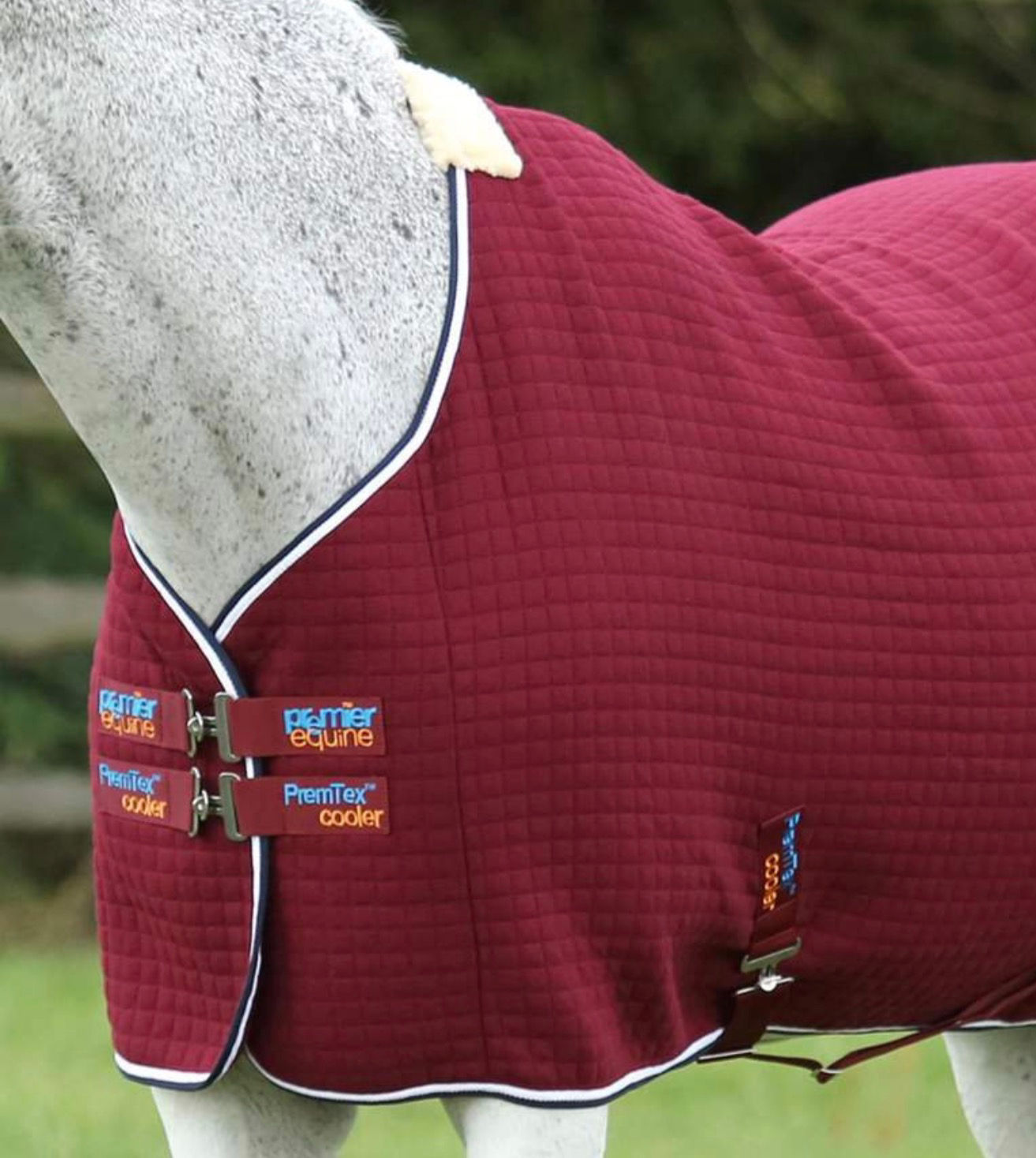 Personalised Premier equine - PremTex Horse Cooler Rug