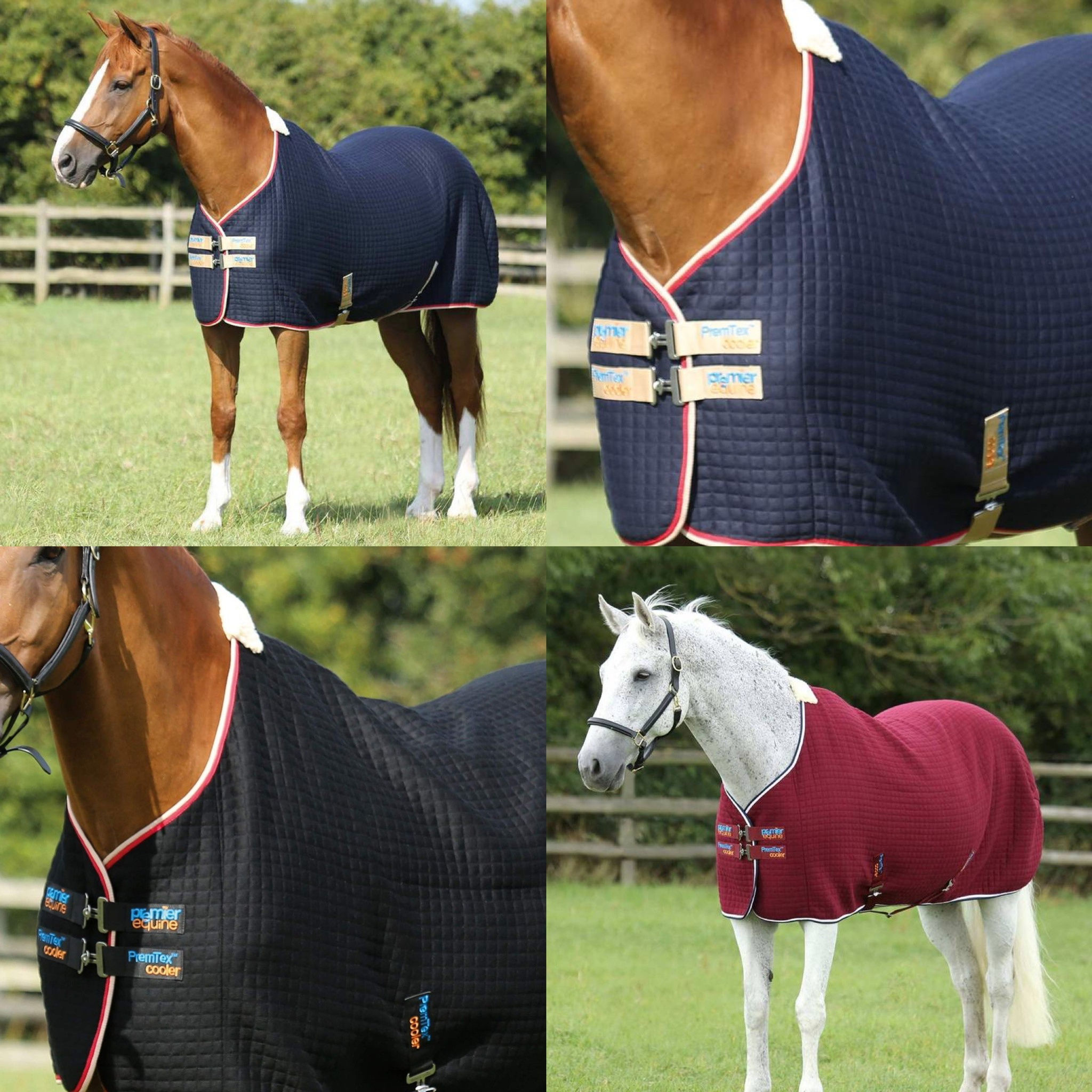 Personalised Premier equine - PremTex Horse Cooler Rug