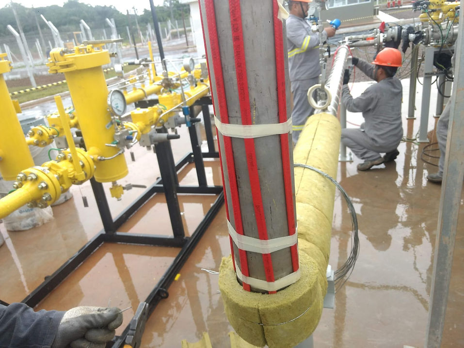 WhatsApp Image 2025-09-29 at 12.26.16.jpeg