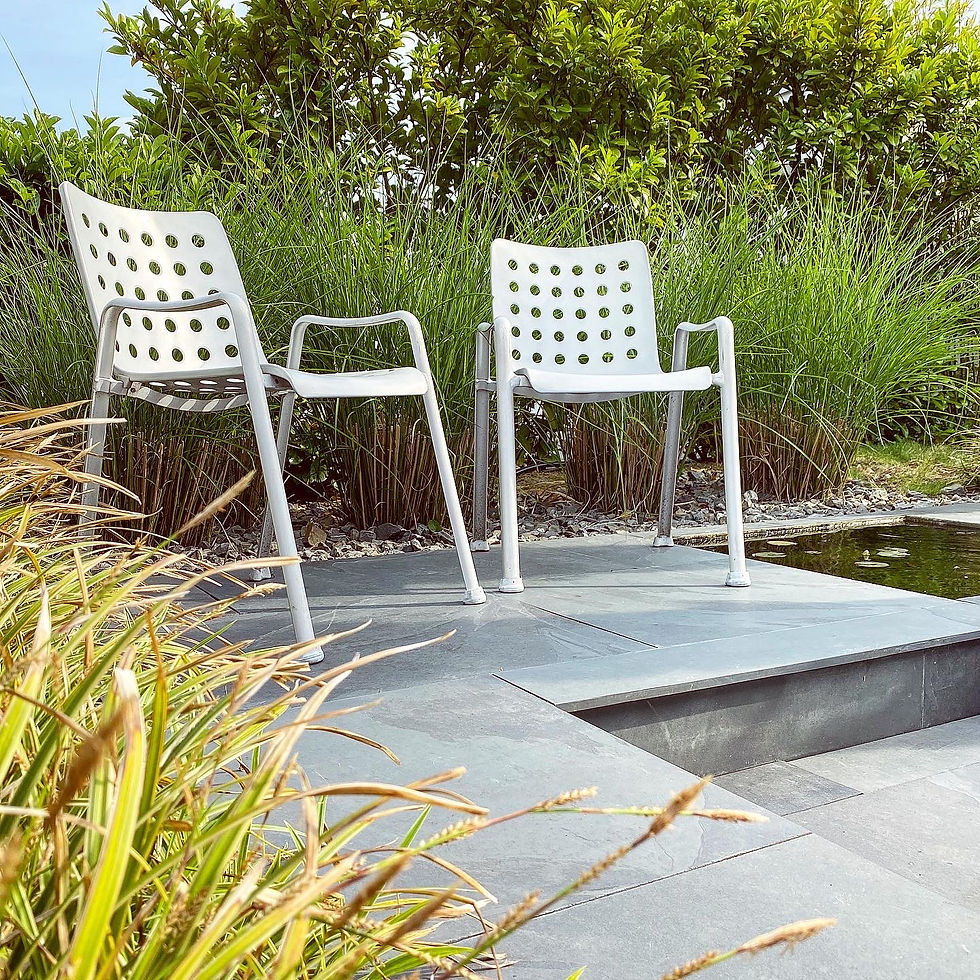 Thumbnail: 6 MEWA - Landi Charis - Hans Coray