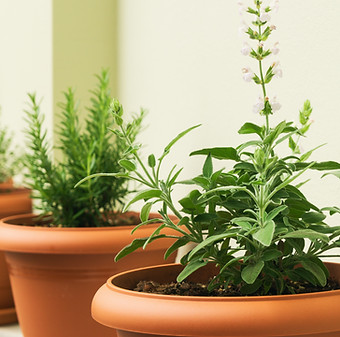 Strategies that grow and scale with your business