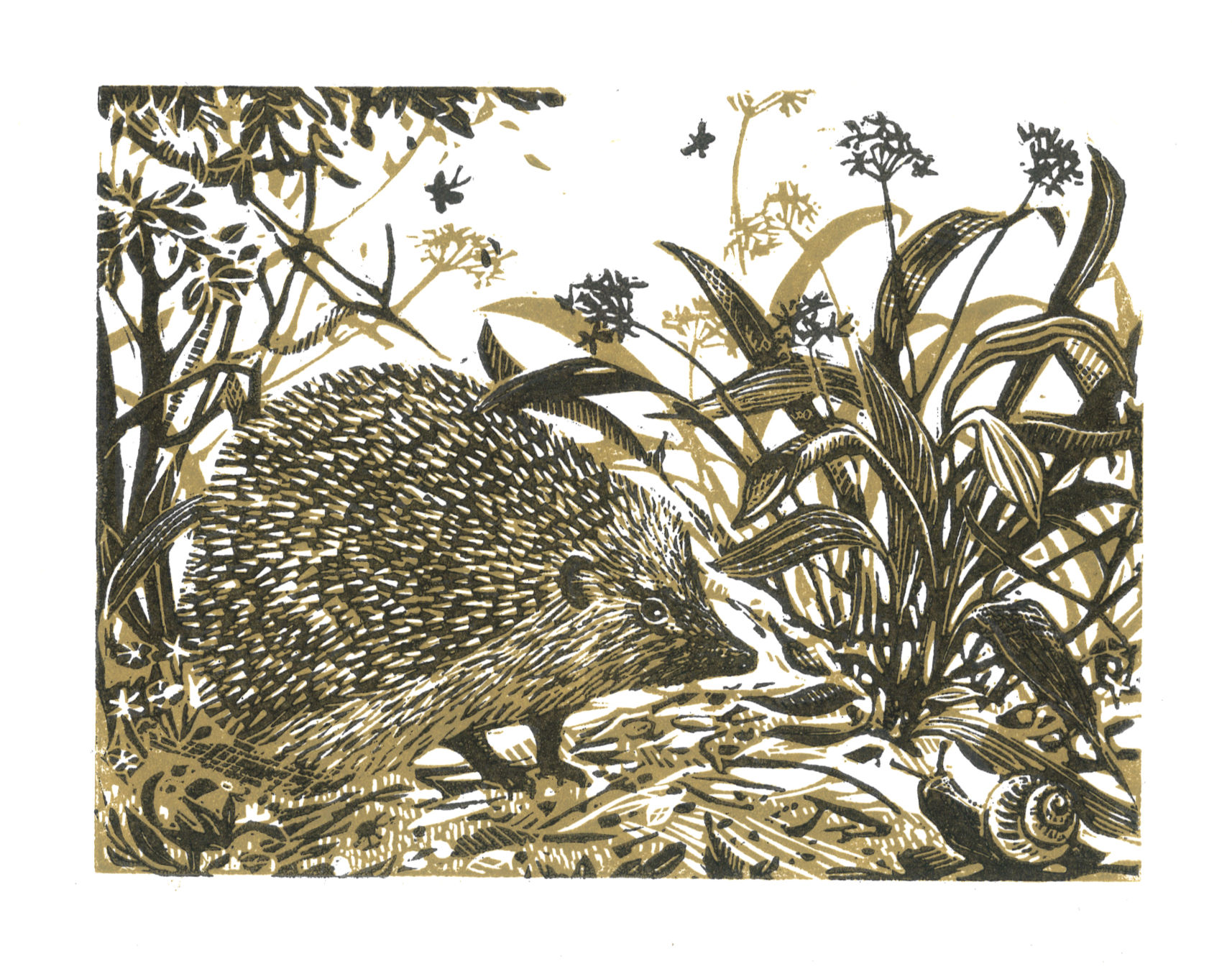 Hedgehog lino print