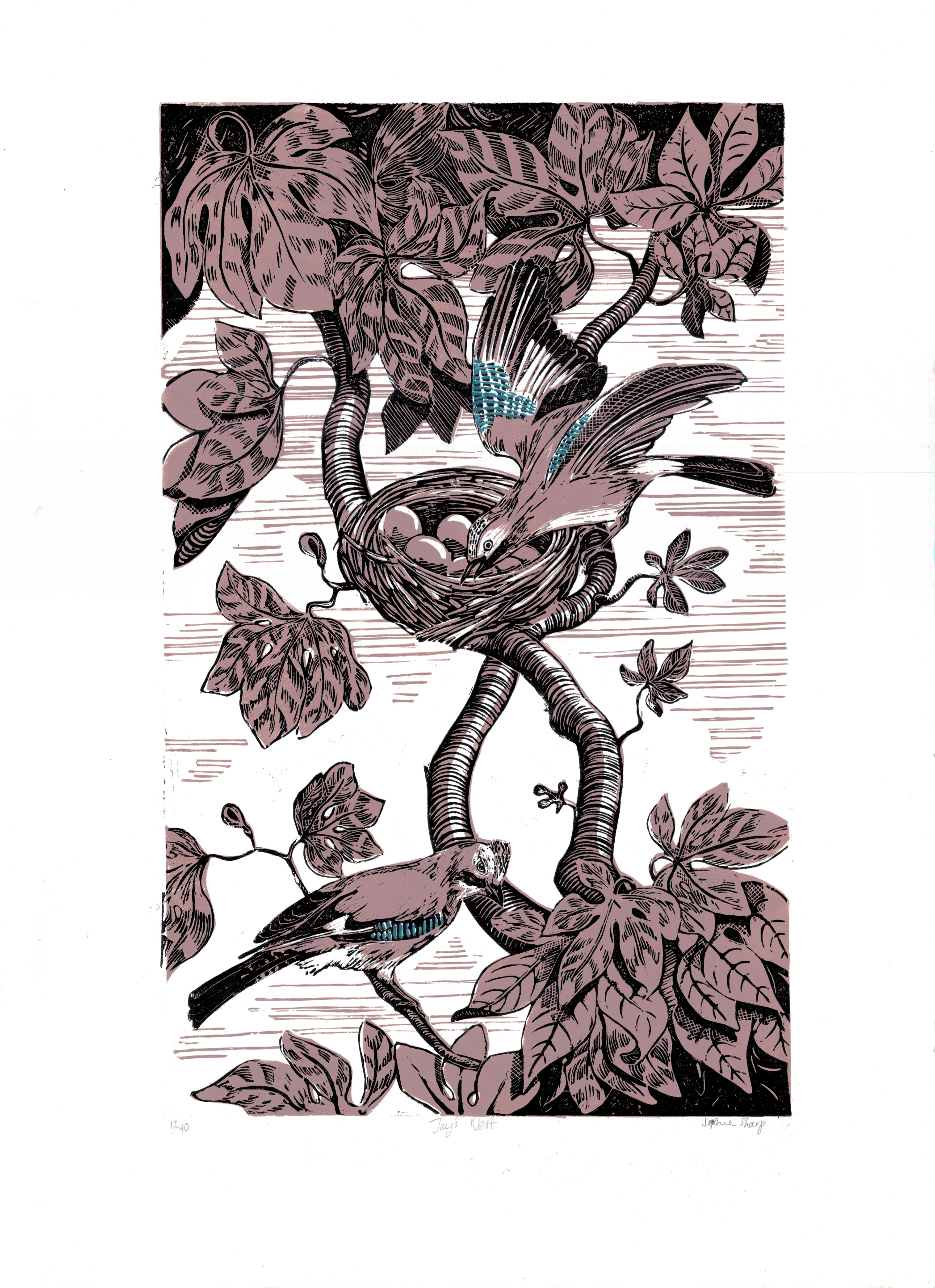 Jay's nest lino print