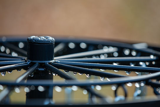 AdobeStock_389304108.jpeg
