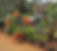 Employees-Planting08.jpg