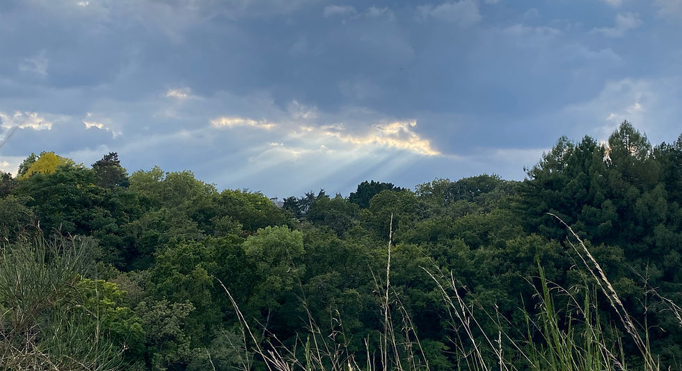 Après des décennies de chagrin, de colère, de ressentiment, j’avais choisi de laisser choir un pan de mon histoire comme on se défait d’un manteau trop encombrant