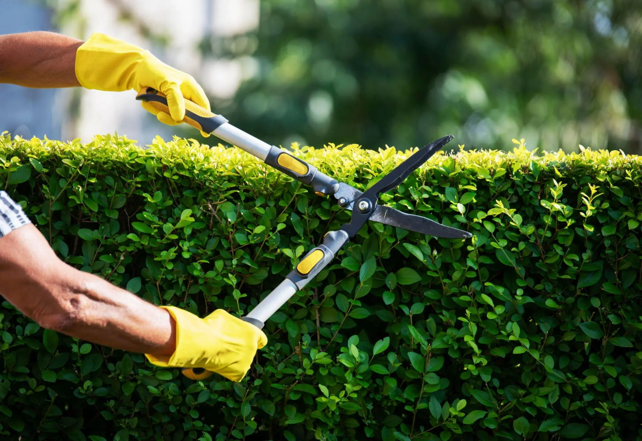 alt="Tenant-apartments-maintenance-services"