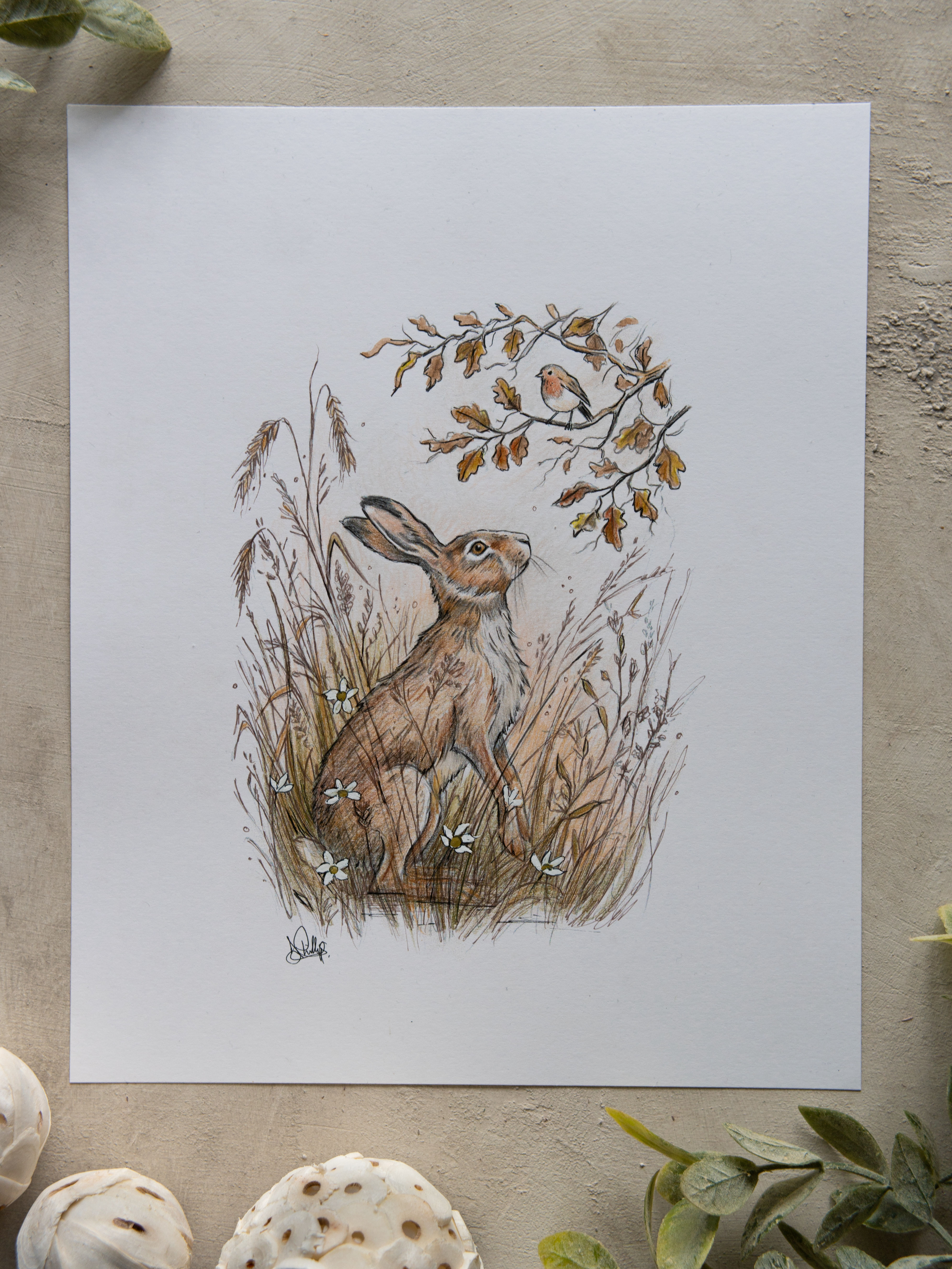 Where Autumn Whispers