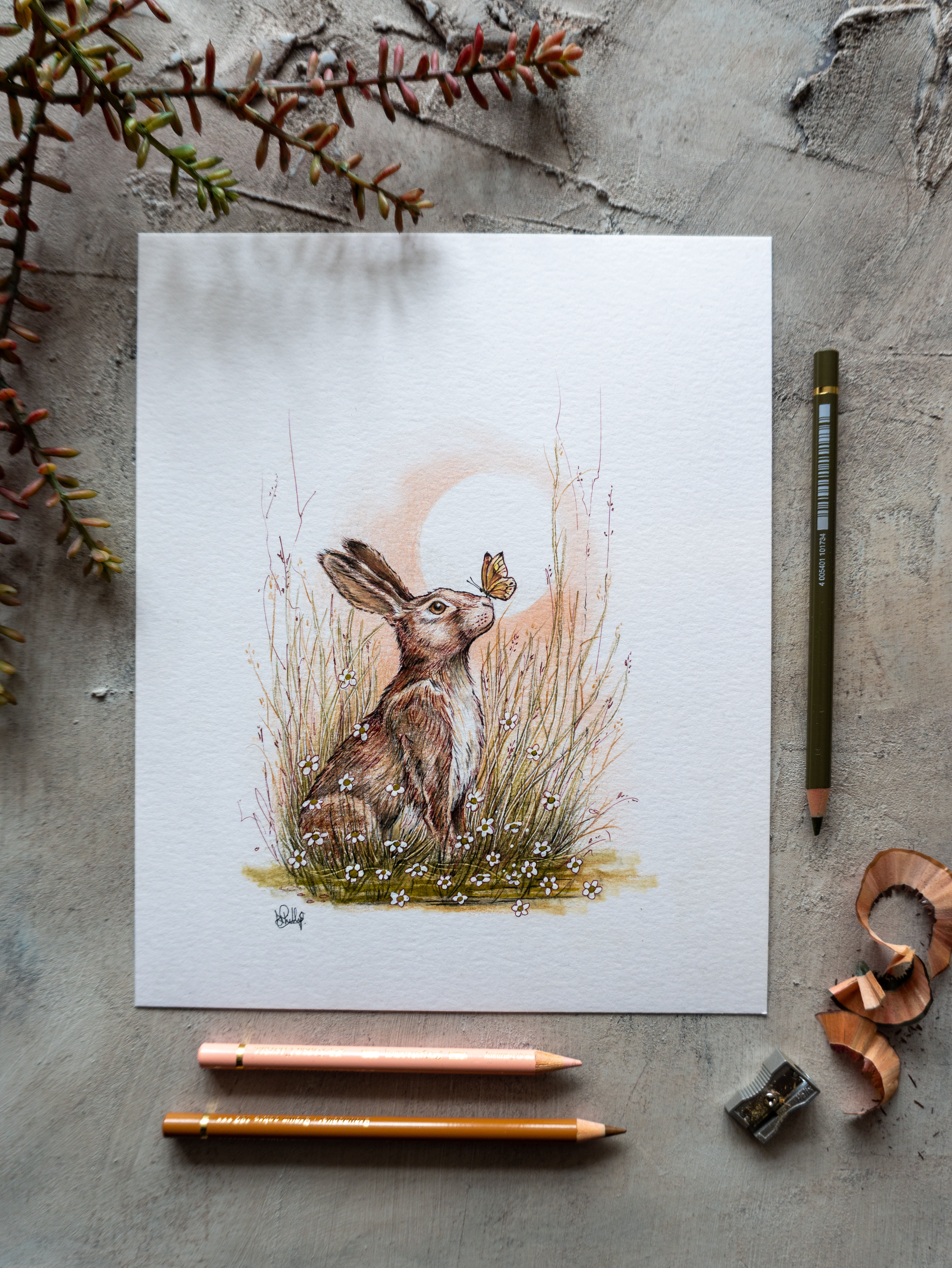 A Hare’s Breath