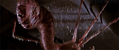 4063603-tumblr_m0736iw6oh1rne776o1_500.gif
