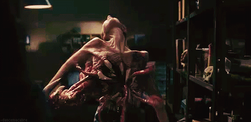 -b0803120-25aa-4da9-84ac-c73f1873ed61.gif