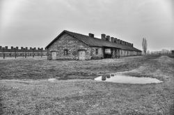 Auschwitz-Birkenau
