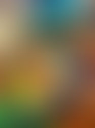 Chicken-less Katsu Don [日式杏鲍菇鸡排丼]