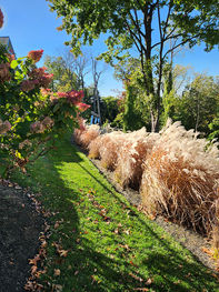 Garden Design with Ornamental Grass