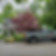 seasonal yard and property maintenance