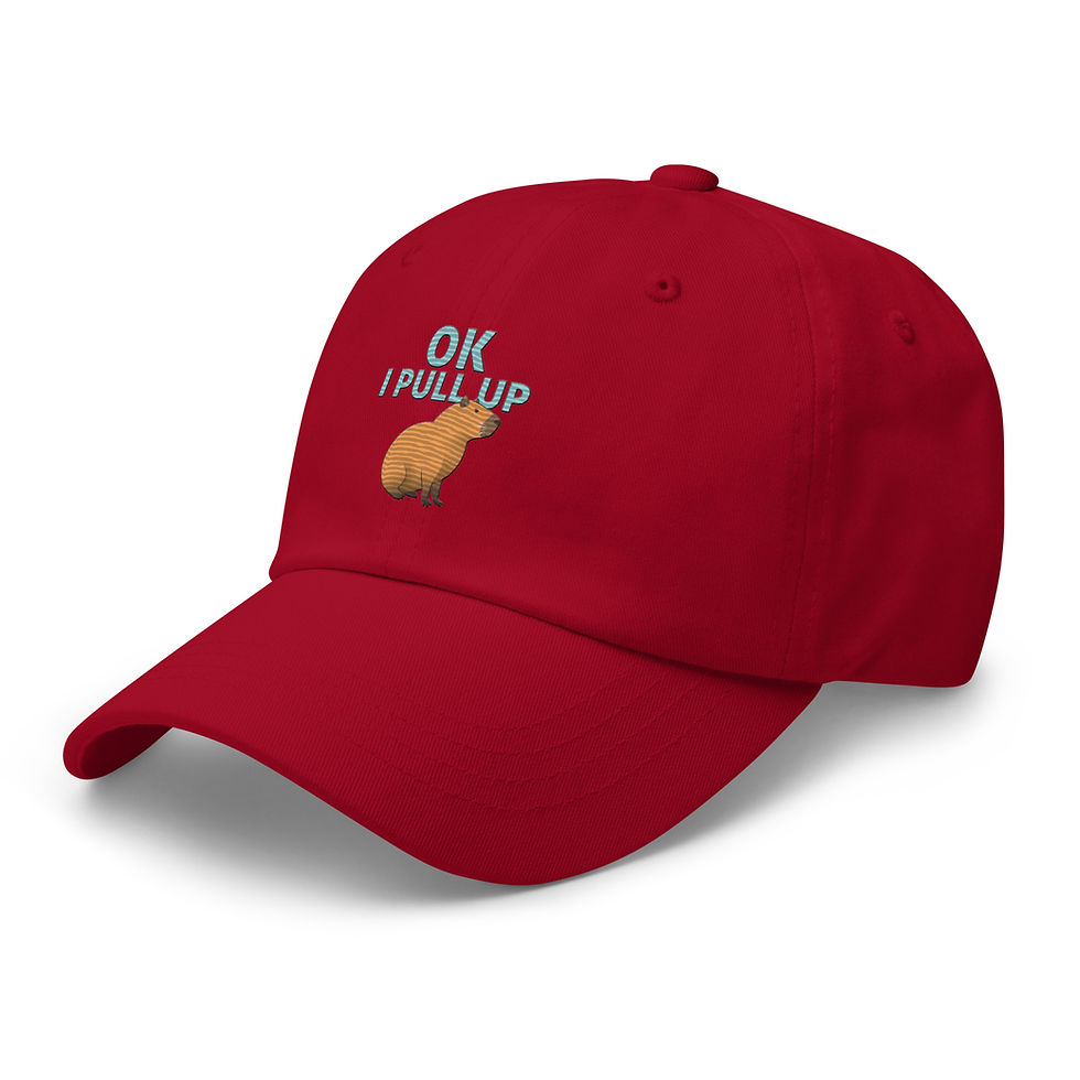 Thumbnail: "Ok I Pull Up Käpi" Dad hat