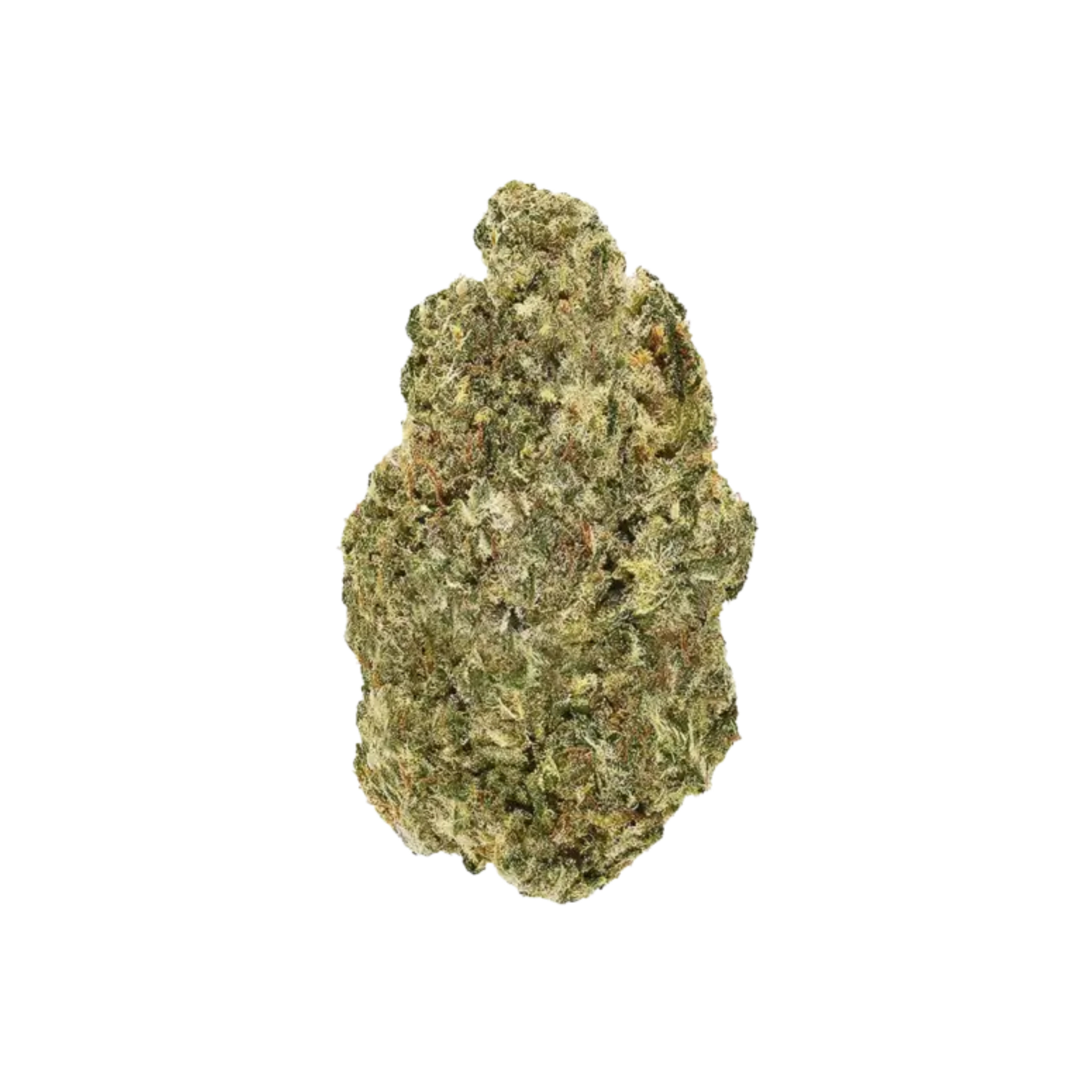 GUAVA STARBURST HYBRID 1OZ