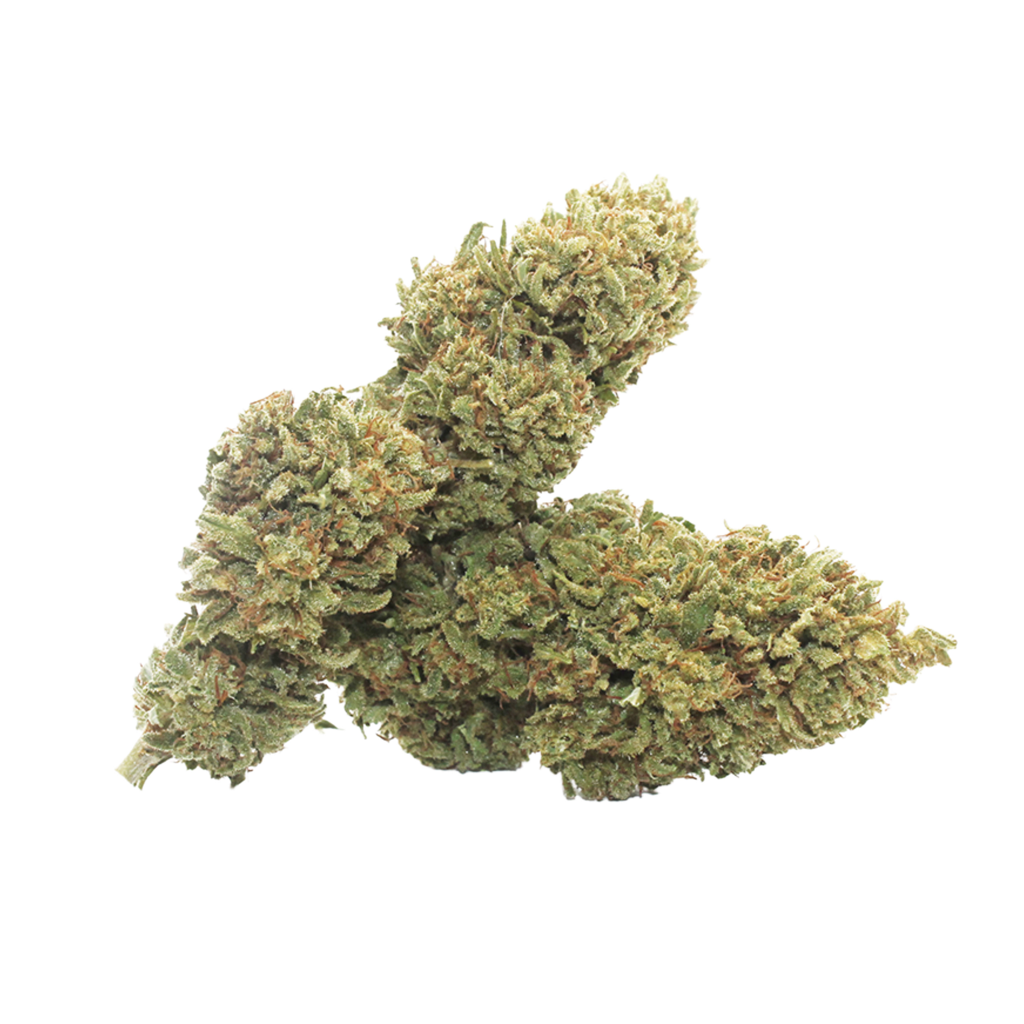 WATERMELON ZKITTLES HYBRID 1/4OZ