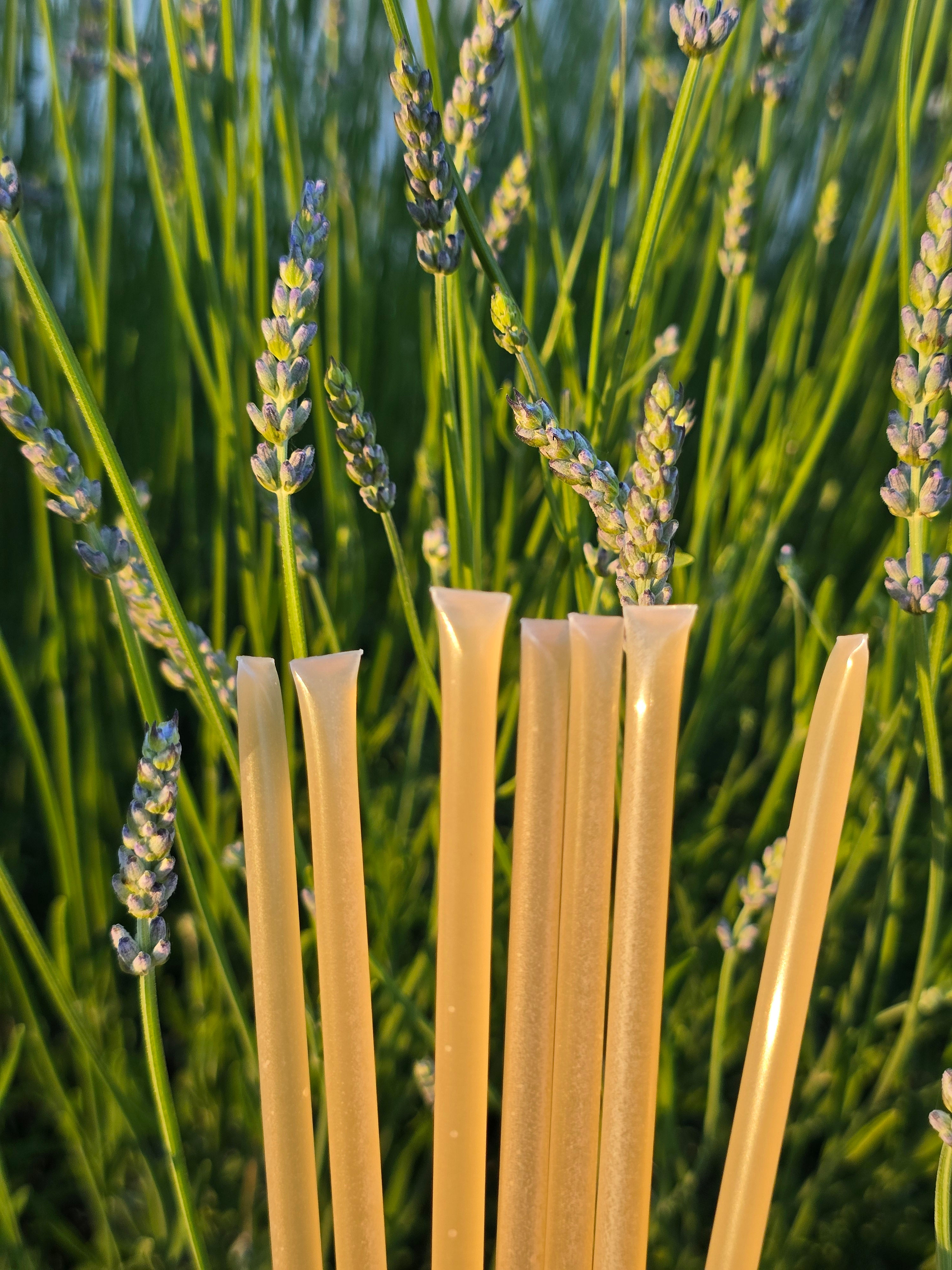 Lavender Honeystix 20 Pack