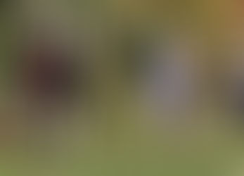 Medals at the 2016 Munster Masters Cross Country Championships